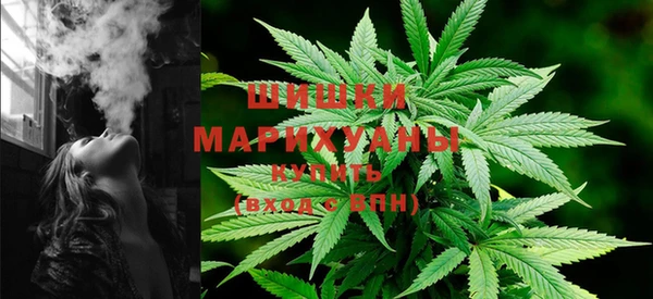 меф Пересвет