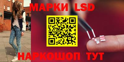 шишки Абакан
