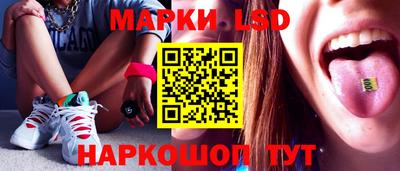 шишки Абакан