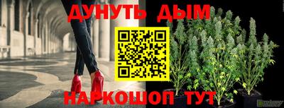 шишки Абакан