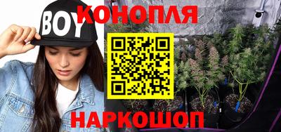 шишки Абакан