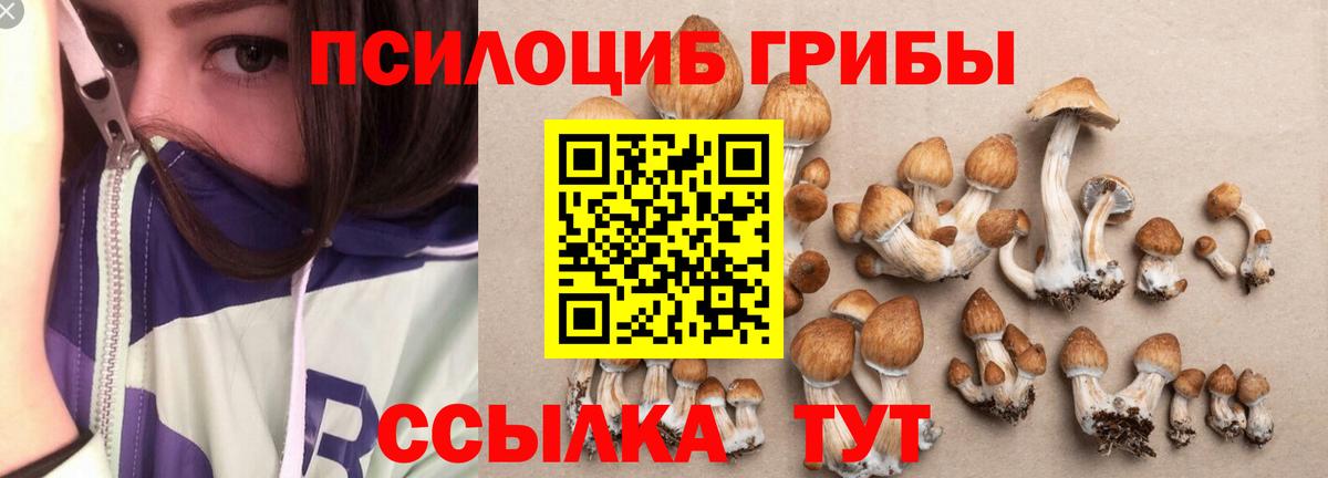 Анжеро-Судженск  Галлюциногенные грибы MAGIC MUSHROOMS  Вход с VPN  Псилоцибиновые грибы Magic Shrooms 