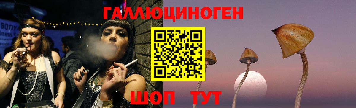 Анжеро-Судженск  Галлюциногенные грибы прущие грибы  Вход с VPN  что такое наркотик  Галлюциногенные грибы ЛСД 